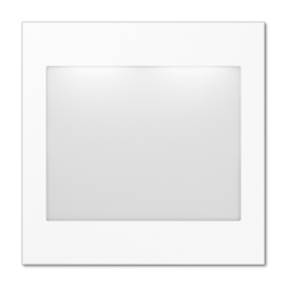 LS539WWLEDLW-12 Крышка для вставки включения индикации Jung LS серия