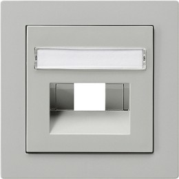 028442 Накладка 50*50 мм для розеток UAE/IAE с полем для надписи Серый Gira S-color