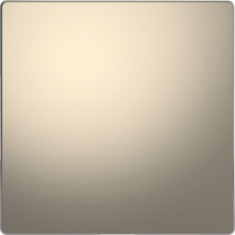 MTN4075-6050 D-life заглушка, никель Merten