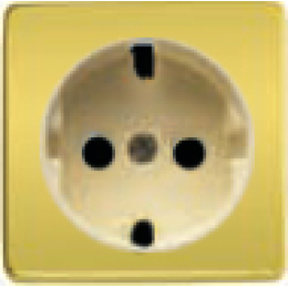 FD04335OB-A Обрамление розетки 2к+з, цвет bright gold беж. FEDE