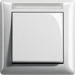 109103 Рамка с полем для надписи Standard 55 Белый глянцевый, с полем для надписи 1-постовая Gira