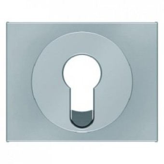 15057004 Центральная панель для замочных выключателей/кнопок цвет: стальной, лак K.5 Berker