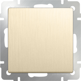 WL10-SW-1G-2W Выключатель одноклавишный проходной (шампань рифленый) Antik Werkel a035611