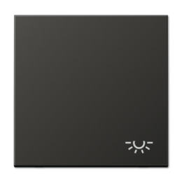 AL2990LAN Клавиша для выключателя Jung LS серия