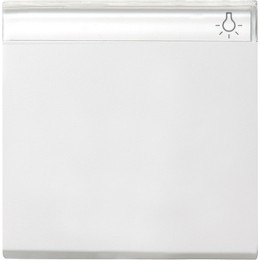 029927 Одинарная клавиша с полем для надписи белый матовый Белый Gira