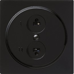 040247 Розетка для стереофонического громкоговорителя Черный Gira S-color