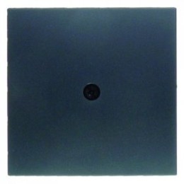 10191606 Центральная панель для VDo-розеток и кабельного вывода цвет: антрацит, матовый B.1/B.3/B.7 Glas Berker