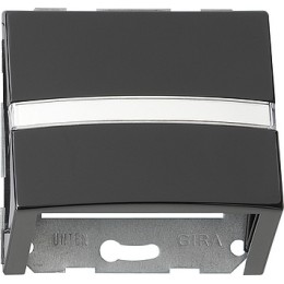 087047 Накладка с опорной пластиной для розеток средств связи Черный Gira S-color