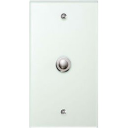 1391 Стеклянная накладка TS Прозрачный 1-постовая Berker