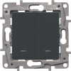 672604 Выключатель двухклавишный с подсветкой/индикацией - автоматические клеммы - Etika - 10 AX - 250 В~ - антрацит Legrand