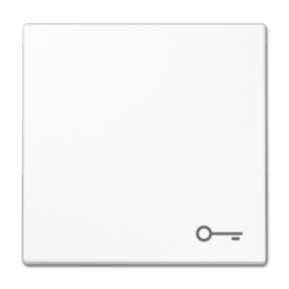 LS990TWW LS 990 Белый Клавиша 1-я с символом "КЛЮЧ" Jung LS серия