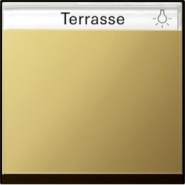 0299604 Одинарная клавиша с полем для надписи Латунь Gira