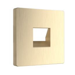 WL10-RJ-11-CP Накладка для телефонной розетки RJ11 (шампань рифленый) Antik Werkel a041447