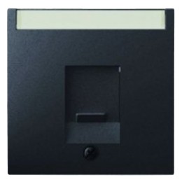 11706086 Центральная панель с заслонкой от пыли и полем для надписи цвет: антрацит, с эффектом бархата, Q.1 Berker