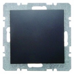 6710091606 Заглушка с центральной панелью цвет: антрацит, матовый B.1/B.3/B.7 Glas Berker