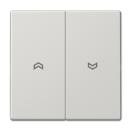 LS995PLG LS 990 Светло-серый Клавиша 2-я жалюзийная Jung LS серия