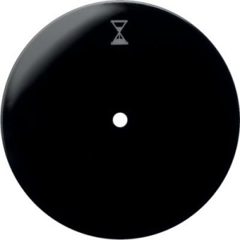 16742045 Центральная панель с нажимной кнопкой для механизма реле времени, R.1/R.3, цвет: черный Berker