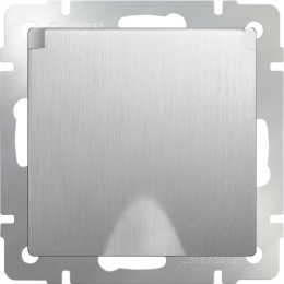 WL09-SKGSC-01-IP44 Розетка влагозащ. с зазем. с защит. крышкой и шторками (cеребряный рифленый) Antik Werkel a035650