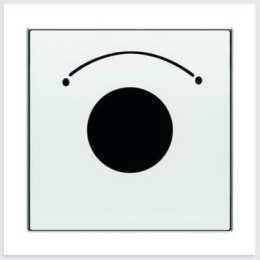 8553 BL Накладка для механизма выключателя с ключом на 2 положения, серия SKY, цвет белый, ABB