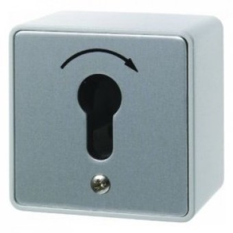4448 Кнопка под ключ для профильных полуцилиндров наружного монтажа Водозащита IP44 Berker