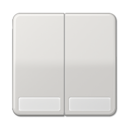 CD595NALG CD 500/CD plus Светло-серый Клавиша 2-я с полем для надписи Jung