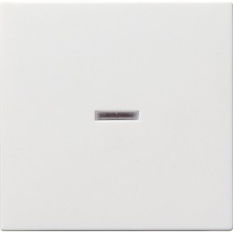 029003 Клавиша с подсветкой Белый Gira