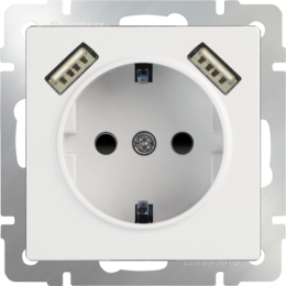 WL01-SKGS-USBx2-IP20 Розетка с заземлением, шторками и USBх2 (белая) Antik Werkel a033473