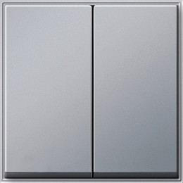 029565 Клавиша двойная Алюминий Gira TX44