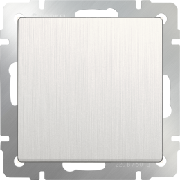 W1110013 Выключатель одноклавишный (перламутровый рифленый) Antik Werkel a051168