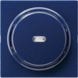 029046 Клавиша с подсветкой Синий Gira S-color