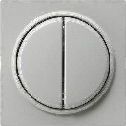 029542 Клавиша двойная Серый Gira S-color