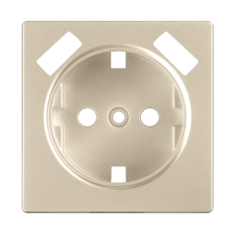 WL11-USB-CP Накладка для USB розетки (шампань) Antik Werkel a040926
