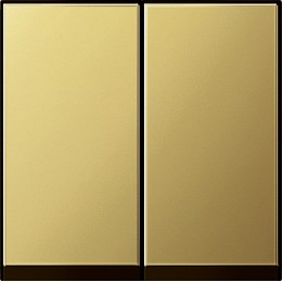 0295604 Клавиша двойная Латунь Gira