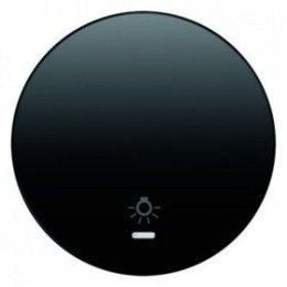 16212035 Клавиша с прозрачной линзой и символом "Свет", черная, с блеском R.1/R.3 Berker