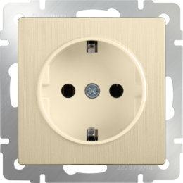 WL10-SKGS-01-IP44 Розетка с заземлением и шторками (шампань рифленый) Antik Werkel a035620