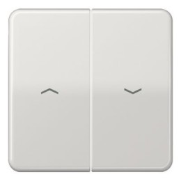 CD595PLG CD 500/CD plus Светло-серый Клавиша 2-я жалюзийная Jung