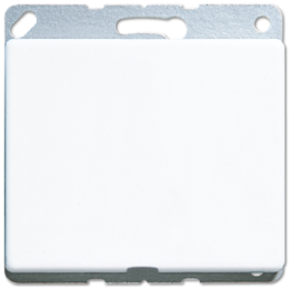 SL590AWW SL 500 Белый  Вывод кабеля Jung