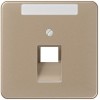 CD569-1NAUAGB CD 500/CD plus Бронза Накладка 1-ой наклонной ТЛФ/комп розетки с полем для надписи Jung