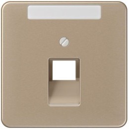 CD569-1NAUAGB CD 500/CD plus Бронза Накладка 1-ой наклонной ТЛФ/комп розетки с полем для надписи Jung