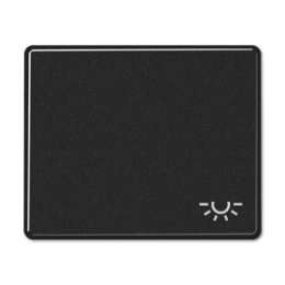 SL590LSW SL 500 Черный Клавиша 1-я с символом "ОСВЕЩЕНИЕ" Jung