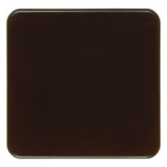 155001 Клавиша цвет: коричневый, с блеском влагозащищенный скрытый монтаж IP44 Berker