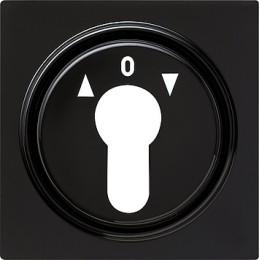 066447 Накладка выключателя с ключом для жалюзи Черный Gira S-color