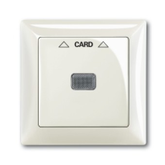 1710-0-3937 (1792-96-507), Плата центральная (накладка) для механизма карточного выключателя 2025 U, серия Basic 55, цвет chalet-white, ABB