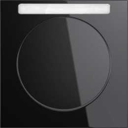 10112235 Рамка с полем для надписей R.3 Черный с блеском 1-постовая Berker