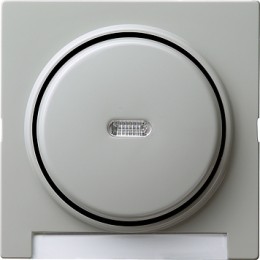 067042 Одинарная клавиша с подсветкой и полем для надписи Серый Gira S-color
