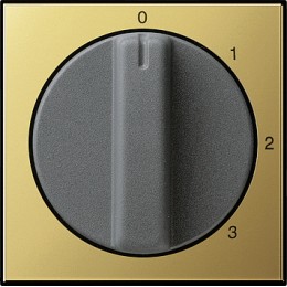 0669604 Накладка с ручкой для трехступенчатого переключателя Латунь Gira