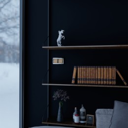 W1112011 Выключатель одноклавишный проходной (шампань) Antik Werkel a050865