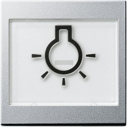 021626 Клавиша с полем для надписи 37*47 мм и символом "свет" Алюминий Gira