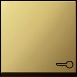 0287604 Клавиша с символом "ключ" Латунь Gira