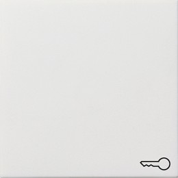 0287112 Клавиша с символом "ключ" Белый Gira F100